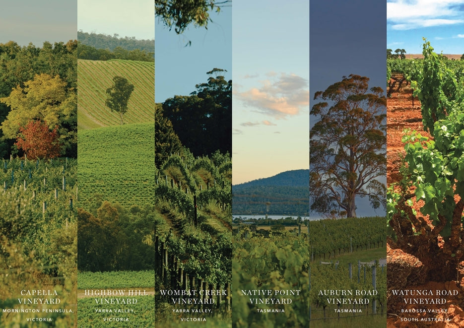 All our vineyards 'Certified Members’ of Sustainable Winegrowing Australia