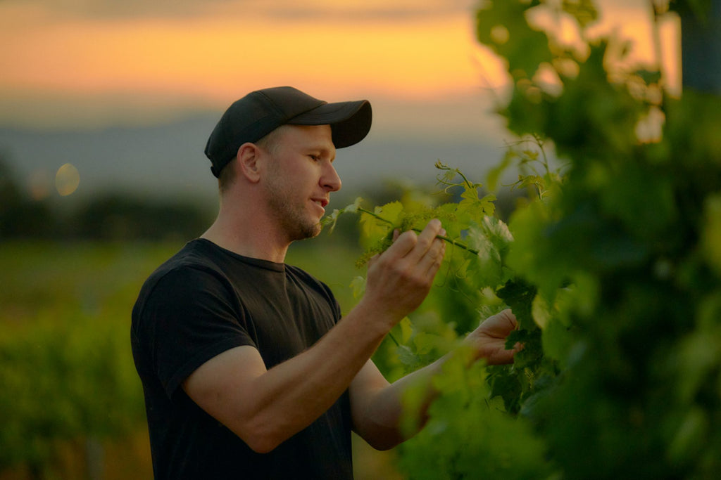 Ben Bussell Viticulture Handpicked Wines 