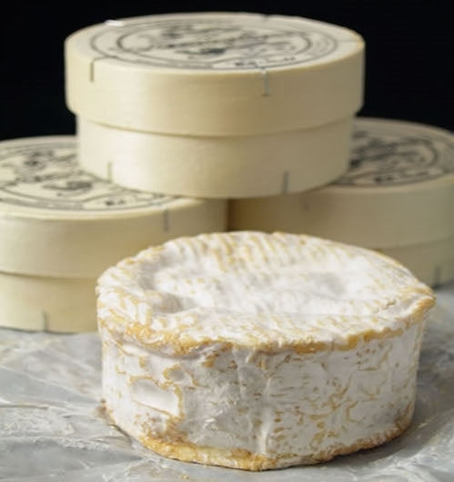 Cheese - Camembert le Conquerant